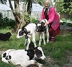 Govij “atskrien” trīnīši