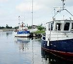 Maluzvejnieku tīklu piekrastē kļuvis mazāk
