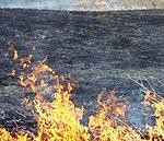 Labāk pļaut un noganīt, nevis dedzināt