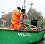 Lašus un taimiņus joprojām sargās