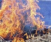 Kūlas dedzināšanas sērga klāt