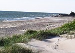 Papē zemes darbu laikā Aizsargjoslu likums neesot pārkāpts