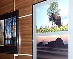 Aicina skatīt fotoizstādi