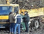 Iespējams, noskaidrojušies Grīnvaltu cūkotāji