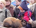 Ūsiņdienas gadatirgus dalīja smaidus pa labi un pa kreisi