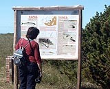 Mierīgās un ekstrēmās izklaides pasākumi gan pašiem, gan tūristiem