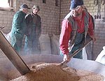 Maltuves miltu gaņģi joprojām darbojas