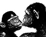 Grupas “The Briefing” debijas albuma “Funny Thoughts” noformējumu rotās Nate Van Dyke darbi