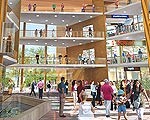 Atbalsta “Rožu galeriju”