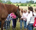 Pārbauda drosmi, medus saldumu un zināšanas