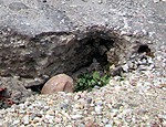 Caurums nepadodas
