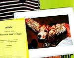 Noskaidrots fotokonkursa “Palidosim?” uzvarētājs