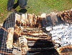 Ķiploku sautē medū, bet lasi cep mālos
