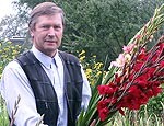 Gladiolu pļavas pavēlnieks