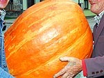 Vasaras saule vissmagākajā ogā