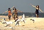 Zināmi Liepājas fotokonkursa 2008 uzvarētāji