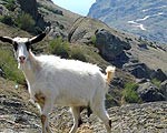 Maķedonija – valsts Balkānu kalnu pašā sirdī