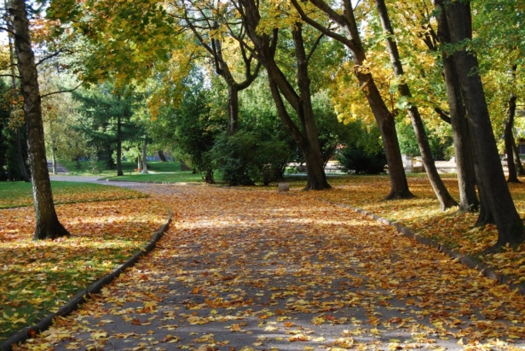 Rudens..