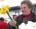 Tulpes un narcises sveic pavasari