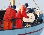 Pāvilostas piekrastes zvejnieki godu nezaudē