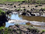Dīķa saimnieks prasīs atkārtotu pārbaudi