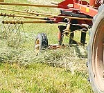 Aicina uz realitātes šovu laukos