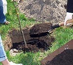 Šovasar strādās 200 skolēni vecumā no 13 līdz 14 gadiem
