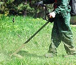 Parki, skvēri, puķes – pilsētas skaistumam