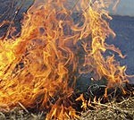 Papes dabas parkā deg mežs