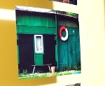 Krāsu mednieku veikums fotogrāfijās