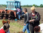 Bezdarbnieki audzēs kartupeļus