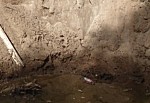 Okšķerē pēc Zviedrijas karaļa zelta