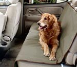 Lai izbrauciens ar auto būtu ērts arī dzīvniekam