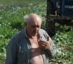 Kāposti labi, bet cena – par zemu