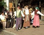 Rudens saulgrieži “Namīnā”