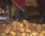 Iespējas strādāt un saņem 100 latu stipendiju ir ierobežotas