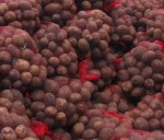 Pēc kartupeļiem liels pieprasījums