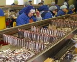 Izbeigts zivju pārstrādes uzņēmuma “Kolumbija Ltd” maksātnespējas process