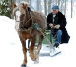 Ziemā ar kamanām, vasarā – līnijdroškā
