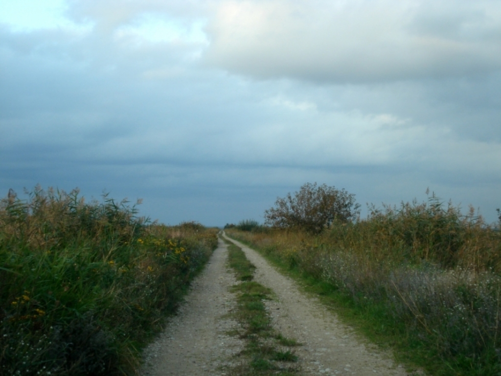 Dažādi
