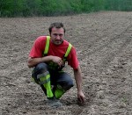 Mežacūkas savairojušās un klūp tīrumos