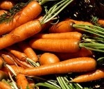 Vietējie audzētāji par “Skolas augli” runā atturīgi