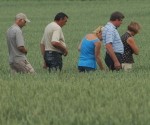 Pirmās labības kravas gaida jūlija beigās