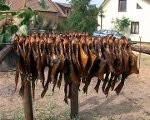 Kūpina zivis un svin Jūras svētkus