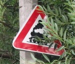 “Satiksmes valodas” nepilnību novēršana uzlabotu braukšanu