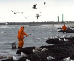 Skarbos vējos smeļ dzintaru