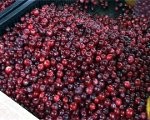 Gripa klāt – ēd veselīgi!