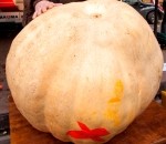 111 kilogramus smags ķirbis un trešā vieta – liepājniekam