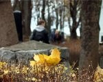 Pirms valsts svētkiem sakopj pilsētas kapus