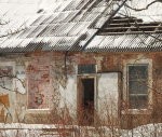 Izsolīs īpašumu blakus kadiķu audzei